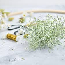 Rollmaxx bauchtrainer rückentrainer oberkörper trainer | fitnessgerät training. Diy Trockenblumenkranz Im Hula Hoop Reifen Selbstgemacht