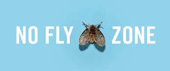 get rid of drain flies in restaurants