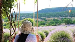 Bu yazıda göreceğiniz fotoğrafların tamamı isparta'nın keçiborlu ilçesine bağlı kuyucak köyü'nde 12 temmuz 2015 tarihinde çekilmiştir anonsunu yazının başında yapmak daha doğru. Isparta Nin Lavanta Kokulu Koyu Kuyucak Koyu Nde Bir Gun Oitheblog