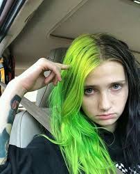 Pin By Lulu On Hair Split Dyed Hair Half Dyed Hair Aesthetic Hair