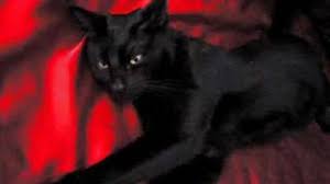 85 data de inscriere : Pisica Neagra Youtube