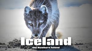 1), dustin hoffman in the iconic the also see: Watch The Green Land Prime Video