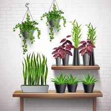 Continue to 9 of 10 below. Free Vector House Plants Realistic White Brick Wall Interior With Hanging Ivy Pots Succulents On Side Table