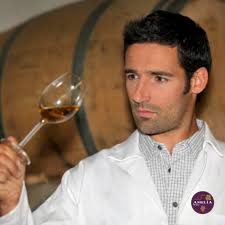 Кто такой энолог? Возвращаем рубрику «Школа вина». Энолог