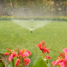 This Is The Best Time Of Day To Water Your Lawn Fall Lawn Fall Lawn Care Lawn Care
