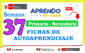 Si buscas información de física ademas de . Semana 37 Fichas De Autoaprendizaje Aprendo En Casa Primaria Y Secundaria Del 14 Al 18 De Diciembre Tus Materiales Docente