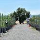 Nursery Workday (Medium to High Intensity) event image