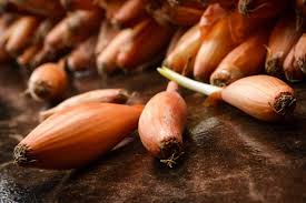 Growing shallots indoors in pots in a site that receives at least six hours of. How To Grow Shallots Harvest To Table