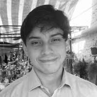 Diego Araneda Ocares