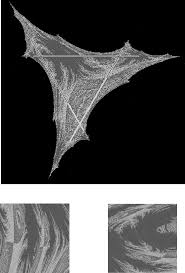 Image result for wada basins