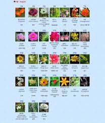 If a stone falls out of your jewelry due to defect, we will replace it at no charge. ë¯¼ë¯¼ On Twitter May August Korean Birth Flower