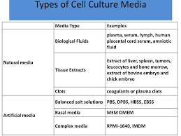 Check spelling or type a new query. Ppt Cell Culture Media And Supplements Powerpoint Presentation Free Download Id 1926257