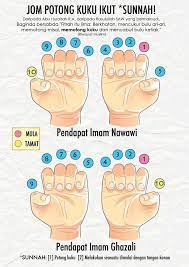 Potongkuku #drrozaimi #sunnah potong kuku, sunnah potong hari apa? Pendapat Imam Ma Had Rubath Nur Tarim Al Ganna Jakarta Facebook