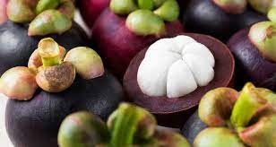 It is also used for stimulating the immune system and improving mental health. Mangostan Die Konigin Der Fruchte Terra Elements