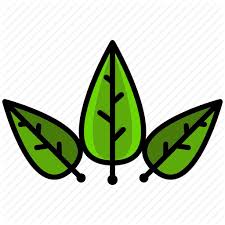 A tree has three main parts. Daun Daun Png Transparent Images Free Png Images Vector Psd Clipart Templates