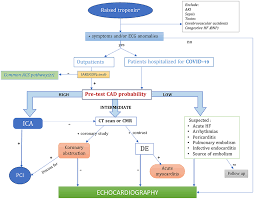 Myocarditis is an inflammatory disease of the myocardium that may present with sudden cardiac death, symptoms mimicking myocardial infarction, heart rhythm and conduction disorders, and heart failure. Frontiers Covid 19 And Acute Coronary Syndromes Current Data And Future Implications Cardiovascular Medicine