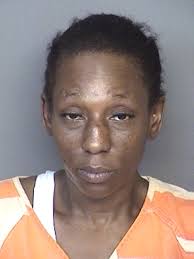 Two arrested in large narcotic trafficking sting