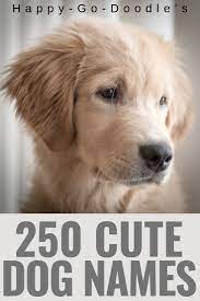 A german shepherd who had never barked in his life was cast as bo, the beloved pooch of actor tim conway's character in the 1970 film the billion dollar hobo. 250 Best Dog Names Ending In Y Cutie Pie Puppy Names That End In Ie Cute Names For Dogs Puppies Names Female Dog Names