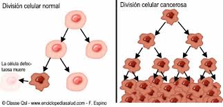 Resultado de imagen para cancer