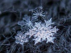 See 67 traveller reviews, 36 user photos and best deals for flocon de neige, ranked #3 of 7 morgex b&bs / inns and rated 5 of 5 at tripadvisor. 13 Idees De Flocon De Neige Flocon De Neige Flocons Neige