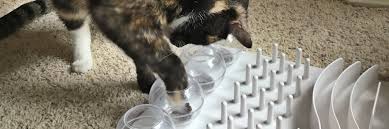 For example, stationary puzzles are better for owners who use wet food and are sensitive to noise, whereas puzzles that move around are better for those who use dry food and have cats who like to play with their nose more than their paws. Food Puzzles For Cats Good For Mind And Body Feline Behavior Solutions Cat Behaviorist