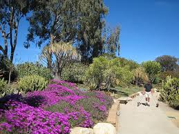 Maybe you would like to learn more about one of these? Cactus Garden In Balboa Park Travels With George And Marta