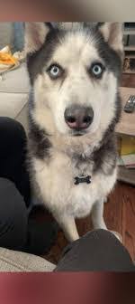 Debbie Cintron's Instagram, Twitter & Facebook