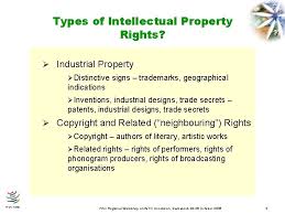What is intellectual property types of intellectual property why intellectual property is important simple if identified and used correctly, intellectual property (ip) can be a small business's most valuable asset. Trade Related Aspects Of Intellectual Property Rights Fao