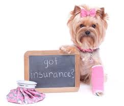 Annual benefits are unlimited in most states. Pet Health Insurance Blog Content Southpoint Animal Hospital