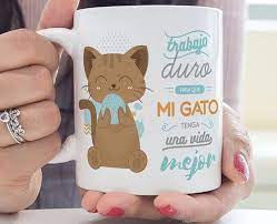 Los gatos domésticos pasan cerca del 70 por ciento del día durmiendo, y 15 por ciento del día acicalándose. Dia Del Gato Los Regalos Mas Originales Para El Rey De La Casa Y Alguno Para Ti Hogar Y Jardin