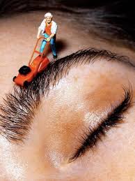 Fred Bosco (fredbosco676)