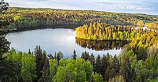 In dit artikel hebben we gedeeld grenst aan rusland noorwegen en zweden antwoorden. Waarom Is Finland Een Land Van Duizend Meren Genoemd 2021