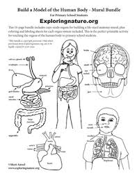 Maybe you would like to learn more about one of these? Human Body Model Worksheets Teaching Resources Tpt