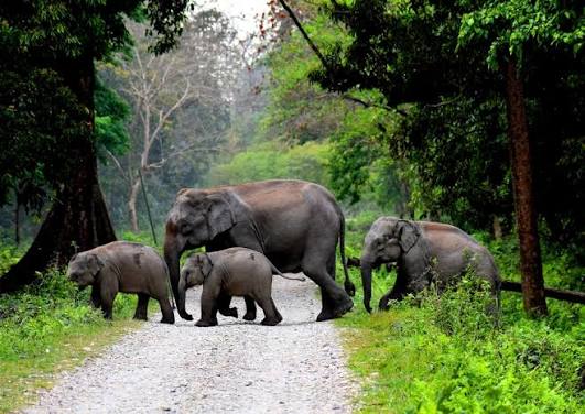 Bengal Tourism - Explore the Land of Culture