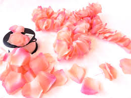You can brew them hot or cold, use for making iced teas or. Diy Rose Petal Garland Pretty And Delicate Miss Party