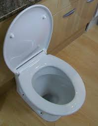 To fix a slow close toilet seat, you may need: Slow Plus Top Fix Soft Close Toilet Seat 02015582