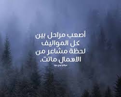 شعر عن الاهمال ليدي بيرد