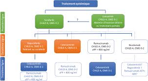 Le traitement du cancer du poumon varie selon le type de cancer et le stade de la maladie. Traitement Du Carcinome Hepatocellulaire Avance Fmc Hge