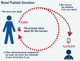 Transfusions And Platelet Donations The Platelet Society