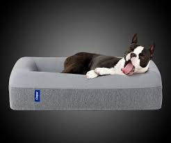 Casper Dog Bed 353 Casper Dog Bed 353 Its Friday Online Black Friday Black Friday Shopping Black Friday Stores Bla In 2020 Dog Mattresses Dog Bed Your Dog