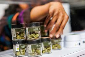 Rescheduling and recreational marijuana: Possible step toward national  legalization? | Reuters