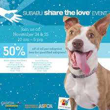 There is a waiting period of four days before a stray animal is available for adoption (a pet that was relinquished. There S Still Time Today Is The Last Animal Humane New Mexico Facebook