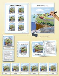 Important questions of biogeochemical cycles including water, carbon, nitrogen, phosphorus, and sulfur cycles multiple choice questions for neet examination, upsc examination, ppsc examinations. Biogeochemical Cycles The Nitrogen Cycle Montessori Research And Development Montessori Materials Teacher Montessori Materials Teacher Manual Montessori
