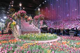 Holland Flowering The 2017 Philly Flower Show The Fuchsia Blog Fuchsias In The City