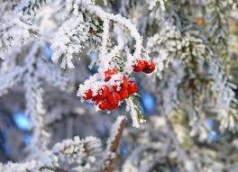 Чому взимку з'являються візерунки на вікнах?