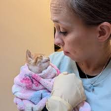 Is anyone interested in having their trash bins cleaned and sanitized in  Pooler GA?