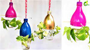 Money Plant Growing In Plastic Bottles Money Plant In Water Money Plant Water Plants Money Plant In Water Plants In Bottles