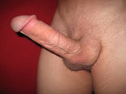 Половой мужской хуй