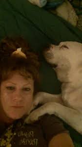 Today marks one week since we said goodbye to our dear Brutus, a day that  will forever be etched in my memory, much like the day i buried my last  son. The