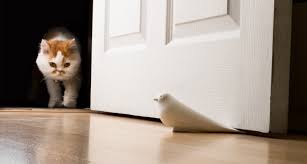 Dove Door Stopper Alifedesign Travel Accessories Australia 14 * 6.5 * 10cm description: